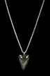 Juvenile Megalodon Tooth Necklace #35760-1